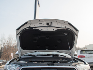 2018{(ln)(bio) 1.5T ԄӃ(q) 