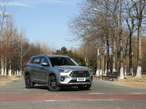 2018t(bio) 1.5T Ԅ(dng)(q) 