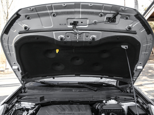 2018t(bio) 1.5T Ԅ(dng)(q) 