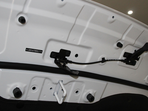 2018t(bio) 1.5T Ԅ(dng)(q)A 