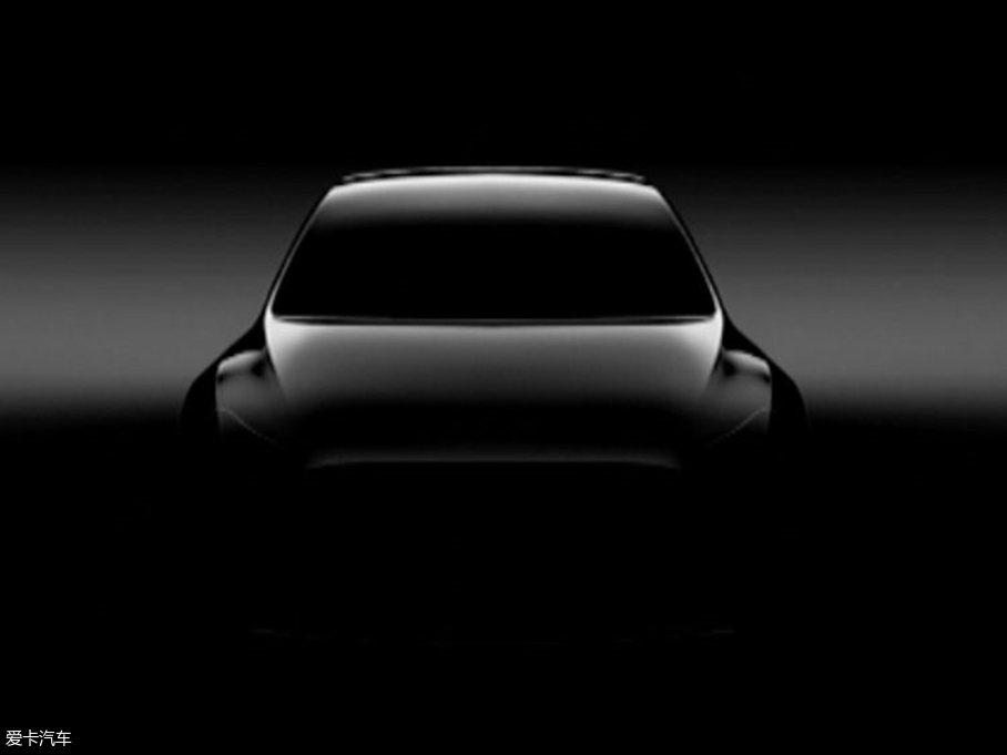 2019Model Y() 