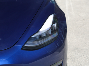 2019Performanceȫ݆Ӱ ^