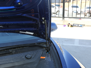 2019Performanceȫ݆Ӱ 