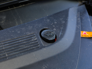 2019Performanceȫ݆Ӱ 