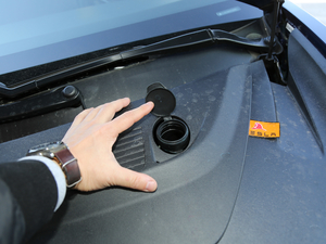 2019Performanceȫ݆Ӱ 