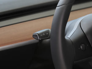 2019Performanceȫ݆Ӱ п؅^