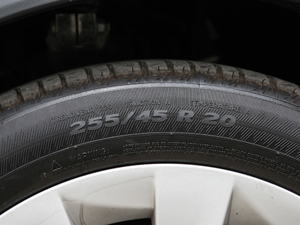 2019L(zhng)m(x) ݆̥ߴ