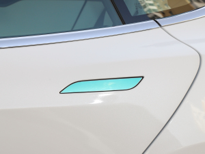 2020Performance ܰ {T