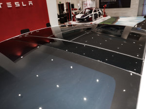 2021늙Cȫ݆ Plaid  ܇