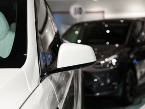 2021늙Cȫ݆ Plaid  (ji)^