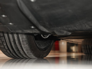 2021늙Cȫ݆ Plaid  ^