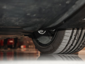 2021늙Cȫ݆ Plaid  ^