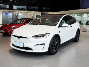 2023款Model X 双电机全轮驱动版