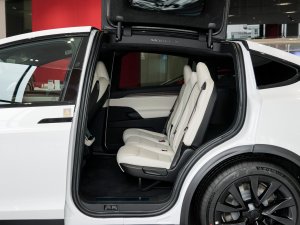 2023款Model X 双电机全轮驱动版