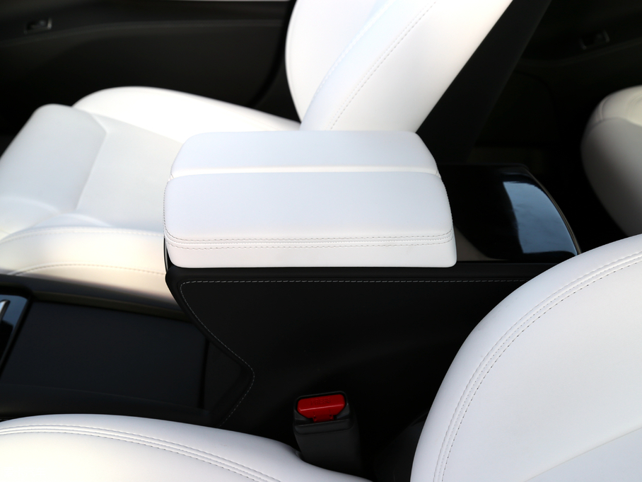 2017MODEL S P100D Performanceܰ