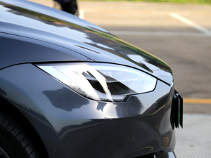 2017P100D Performanceܰ ^