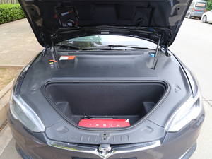 2017P100D Performanceܰ g