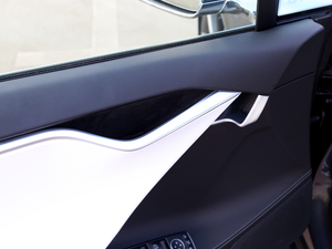 2017P100D Performanceܰ g