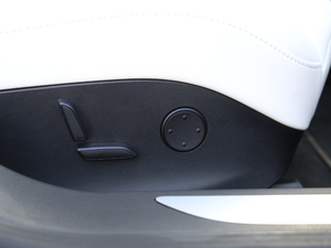 2017P100D Performanceܰ g