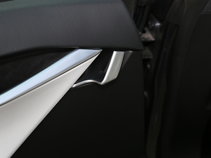 2017P100D Performanceܰ g