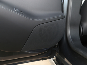 2017P100D Performanceܰ g