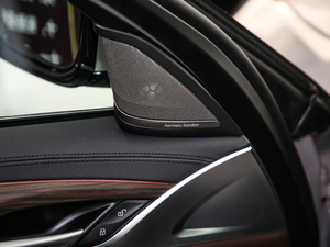 2019530Li xDrive Ab g