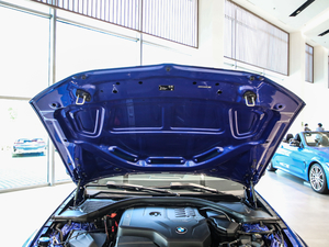 2020Ŀ 325Li xDrive M\(yn)(dng)b 