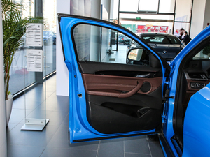 2020款sDrive25i 领先型M越野套装 驾驶位车门