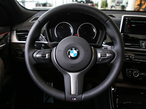 2020款sDrive25i 尊享型M越野套装 方向盘