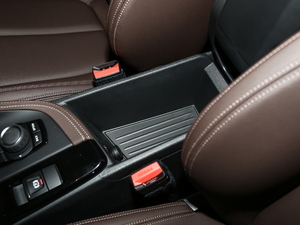 2020sDrive25i IM\b g