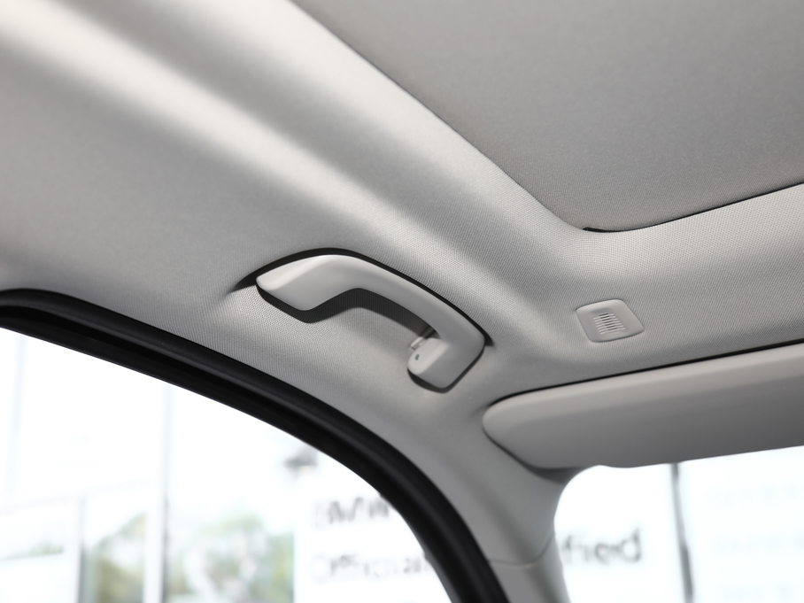 2019RX3 xDrive25i Ab