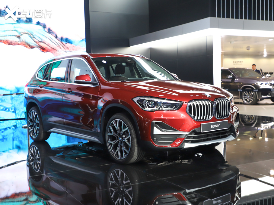 2020RX1 xDrive 25Li 