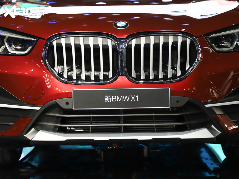 2020RX1 xDrive 25Li 