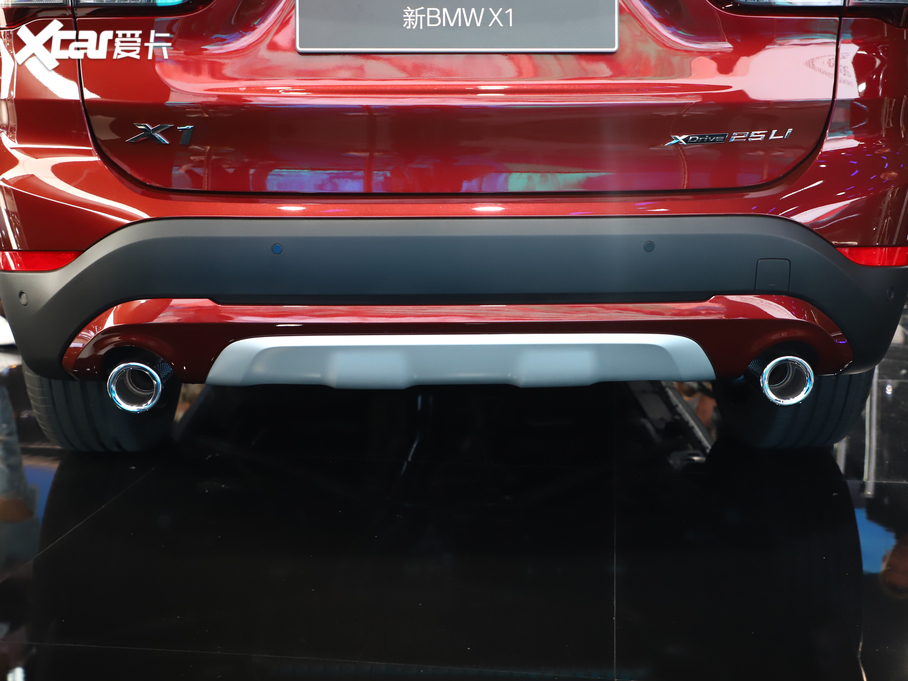 2020RX1 xDrive 25Li 