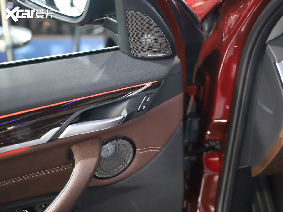 2020RX1 xDrive 25Li 