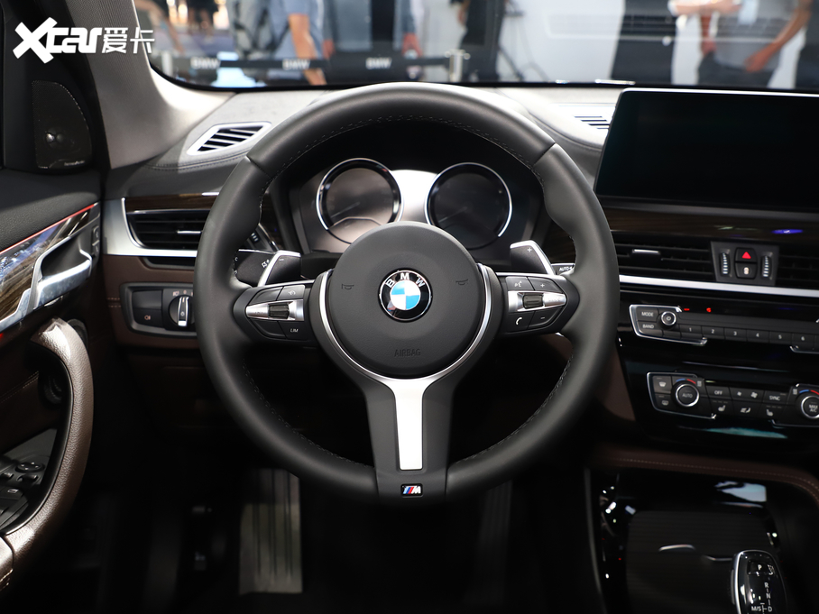 2020RX1 xDrive 25Li 