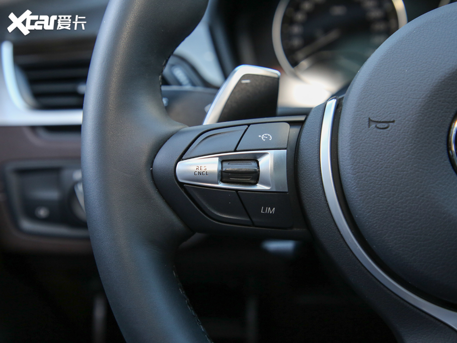 2020RX1 xDrive 25Li 