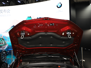 2020款xDrive 25Li 尊享型 其它