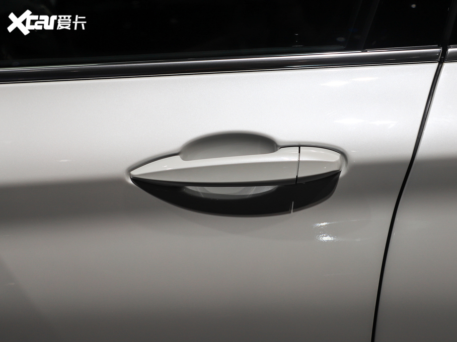 2020RX1Դ xDrive30Le 