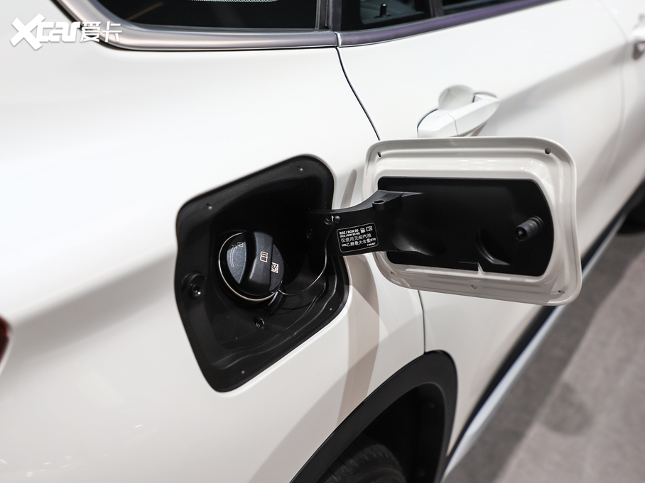 2020RX1Դ xDrive30Le 