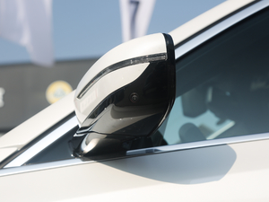 2020530Li  M\(yn)(dng)b (x)(ji)^