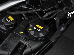 2021535Le M\(yn)(dng)b 