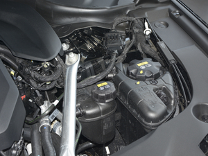 2021535Le h M\(yn)(dng)b 