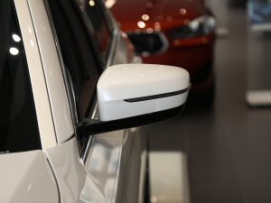 2021535Le M\(yn)(dng)b ҕR