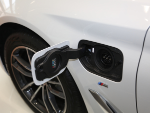 2021535Le M\(yn)(dng)b w