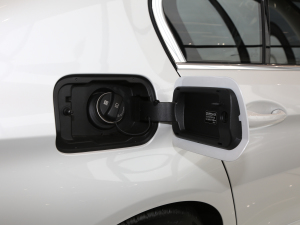 2021535Le M\(yn)(dng)b w