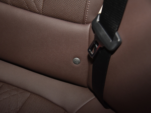 2021530Li I(lng) Ab g