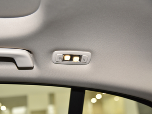 2021530Li I(lng) Ab g