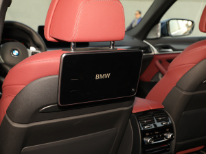 2021530Li  M\(yn)(dng)b g