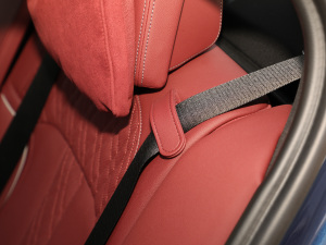 2021530Li  M\(yn)(dng)b g